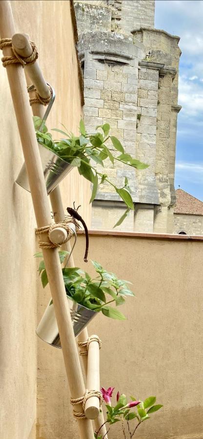 Tresors De La Cathedrale, Maison De Ville Sur 4 Niveaux Narbonne Eksteriør bilde