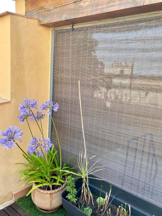 Tresors De La Cathedrale, Maison De Ville Sur 4 Niveaux Narbonne Eksteriør bilde
